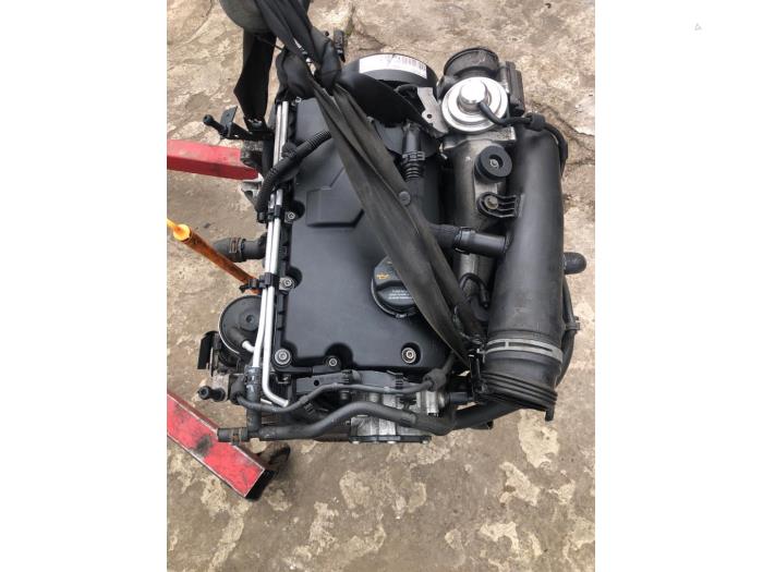 Gebruikte Motor Volkswagen Golf V (1K1) 1.9 TDI Prijs € 450,00 Margeregeling aangeboden door Umit Sloperij