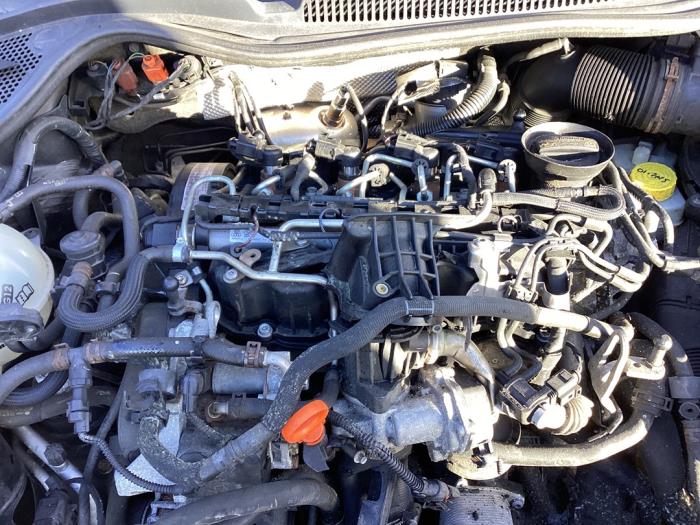 Gebruikte Motor Volkswagen Polo V (6R) 1.6 TDI 16V 90 Prijs € 995,00 Margeregeling aangeboden door Autohandel & Demontage Weteringbrug