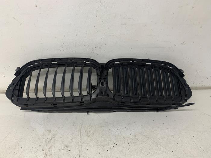 Grille van een BMW 5 serie Touring (G31) 530d xDrive 3.0 TwinPower Turbo 24V 2019