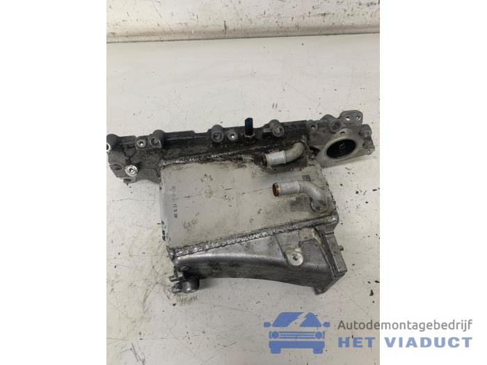 Gebruikte Spruitstuk Inlaat Volkswagen Polo VI (AW1) 1.6 TDI 16V 95 Prijs € 120,00 Margeregeling aangeboden door Het Viaduct