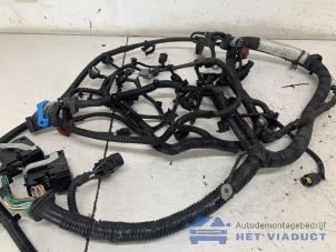 Gebruikte Kabelboom motorruimte Ford Focus 3 Wagon 1.0 Ti-VCT EcoBoost 12V 125 Prijs € 150,00 Margeregeling aangeboden door Het Viaduct