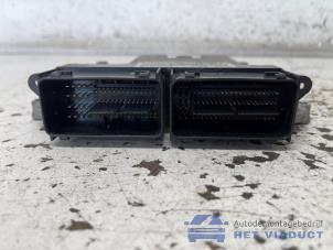Gebruikte Computer Motormanagement Ford Fiesta 6 (JA8) 1.0 SCI 12V 80 Prijs € 140,00 Margeregeling aangeboden door Het Viaduct
