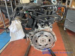 Gebruikte Motor Ford Fiesta 6 (JA8) 1.6 16V PowerShift Prijs € 600,00 Margeregeling aangeboden door Het Viaduct