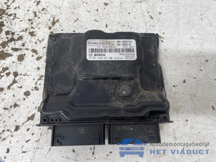 Gebruikte Computer Motormanagement Ford Focus 4 Wagon 1.0 Ti-VCT EcoBoost 12V 125 Prijs € 150,00 Margeregeling aangeboden door Het Viaduct