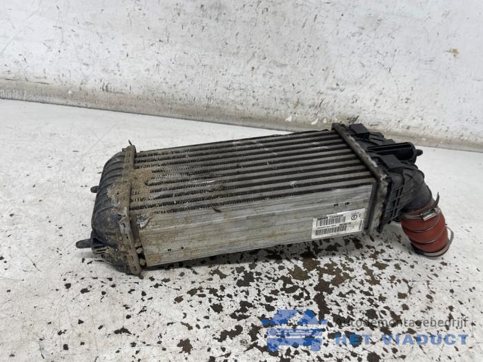 Gebruikte Intercooler Peugeot 2008 (CU) 1.5 BlueHDi 100 Prijs € 60,00 Margeregeling aangeboden door Het Viaduct