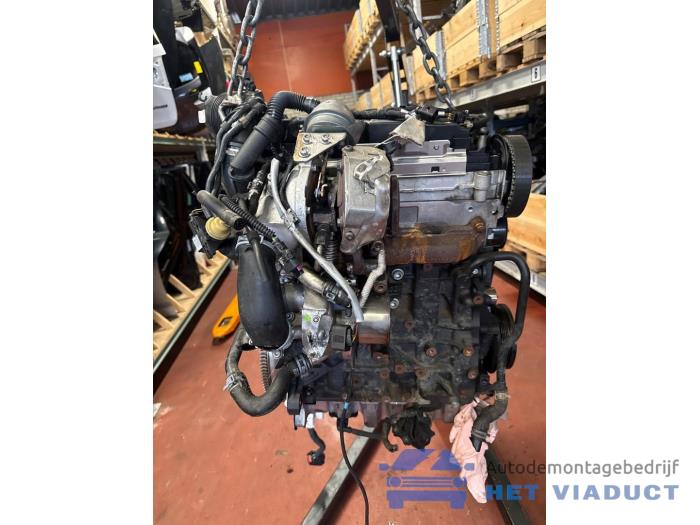 Gebruikte Motor Skoda Octavia Combi (5EAC) 1.6 TDI 16V Prijs € 2.750,00 Margeregeling aangeboden door Het Viaduct
