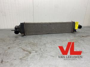 Gebruikte Intercooler Ford C-Max (DXA) 1.6 SCTi 16V Prijs € 42,50 Margeregeling aangeboden door Van Leeuwen Auto Onderdelen