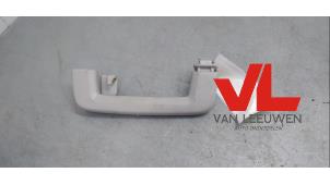 Gebruikte Handgreep Ford Mondeo IV Wagon 2.0 Ecoboost SCTi 16V Prijs € 7,00 Margeregeling aangeboden door Van Leeuwen Auto Onderdelen