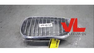 Nieuwe Grille BMW 3 serie (E46/4) Prijs € 12,10 Inclusief btw aangeboden door Van Leeuwen Auto Onderdelen
