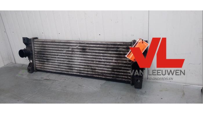 Gebruikte Intercooler Ssang Yong Kyron 2.0 M 200 Xdi 16V 4x2 Prijs € 40,00 Margeregeling aangeboden door Van Leeuwen Auto Onderdelen