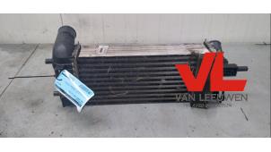 Gebruikte Intercooler Ford Grand C-Max (DXA) 1.0 Ti-VCT EcoBoost 12V 125 Prijs € 25,00 Margeregeling aangeboden door Van Leeuwen Auto Onderdelen