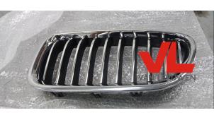 Nieuwe Grille BMW 5 serie (F10) Prijs € 35,09 Inclusief btw aangeboden door Van Leeuwen Auto Onderdelen