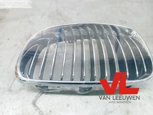 Nieuwe Grille BMW 1-Serie Prijs € 30,25 Inclusief btw aangeboden door Van Leeuwen Auto Onderdelen