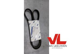 Nieuwe V Snaar Ford C-Max Prijs € 12,10 Inclusief btw aangeboden door Van Leeuwen Auto Onderdelen