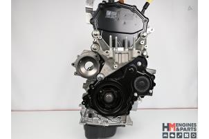 Nieuwe Motor Ford Transit 2.0 TDCi 16V Eco Blue 130 Prijs € 4.537,50 Inclusief btw aangeboden door HM Engines & Parts