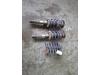 Skoda Octavia (1Z3) 1.6 TDI Greenline Set Verlaagde Veren