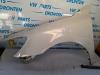 Skoda Octavia (1Z3) 1.6 TDI Greenline Scherm links-voor