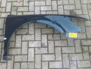 Gebruikte Scherm rechts-voor Volkswagen Phaeton (3D) 6.0 W12 48V 4Motion Prijs € 100,00 Margeregeling aangeboden door VW Parts Dronten