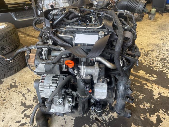 Gebruikte Motor Volkswagen Polo V (6R) 1.6 TDI 16V 90 Prijs € 1.250,00 Margeregeling aangeboden door VW Parts Dronten
