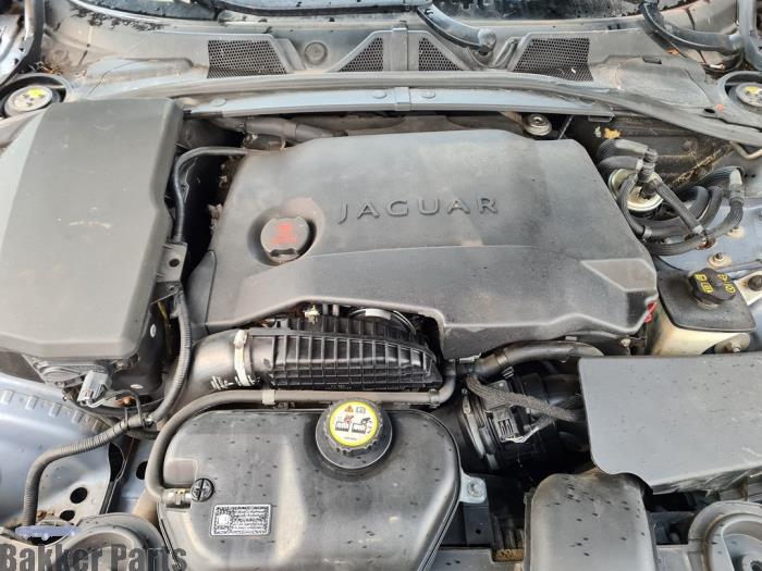 Gebruikte Motor Jaguar XF (CC9) 2.7 D V6 24V Prijs € 2.450,00 Margeregeling aangeboden door Bakker Parts