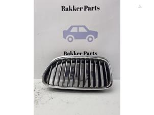 Gebruikte Grille BMW 5 serie Touring (F11) 520d 16V Prijs € 30,00 Margeregeling aangeboden door Bakker Parts