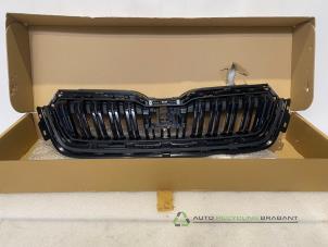 Gebruikte Grille Skoda Kamiq Prijs € 50,00 Inclusief btw aangeboden door Auto Recycling Brabant