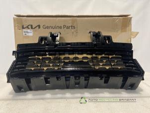 Gebruikte Grille Kia EV6 Prijs € 99,99 Inclusief btw aangeboden door Auto Recycling Brabant