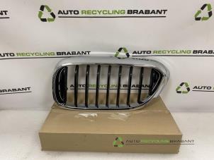 Gebruikte Grille BMW 5-Serie Prijs € 25,00 Margeregeling aangeboden door Auto Recycling Brabant