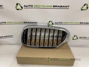 Gebruikte Grille BMW 5-Serie Prijs € 25,00 Margeregeling aangeboden door Auto Recycling Brabant