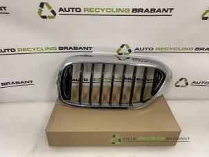 Gebruikte Grille BMW 5-Serie Prijs € 25,00 Margeregeling aangeboden door Auto Recycling Brabant
