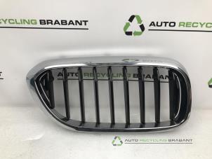 Gebruikte Grille BMW 5-Serie Prijs € 15,00 Margeregeling aangeboden door Auto Recycling Brabant