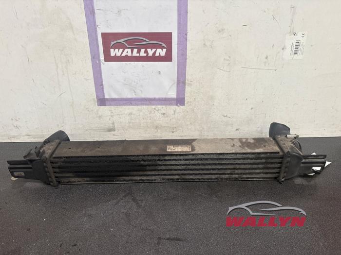 Gebruikte Intercooler Citroen Nemo (AA) 1.4 HDi 70 Prijs € 24,20 Inclusief btw aangeboden door Wallyn COMMV