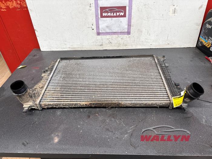 Gebruikte Intercooler Audi A3 Sportback (8PA) 1.6 TDI 16V Prijs € 60,50 Inclusief btw aangeboden door Wallyn COMMV