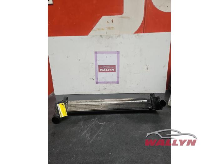 Gebruikte Intercooler Renault Megane III Berline (BZ) 1.5 dCi 110 Prijs € 36,30 Inclusief btw aangeboden door Wallyn COMMV