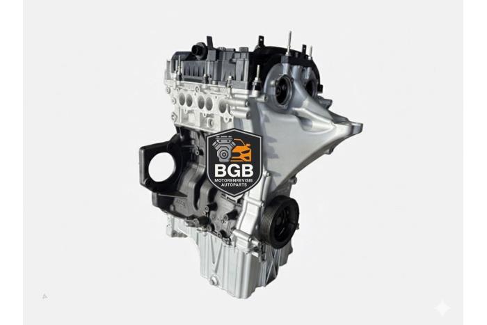 Motor van een Ford EcoSport (JK8) 1.0 EcoBoost 12V 125 2015