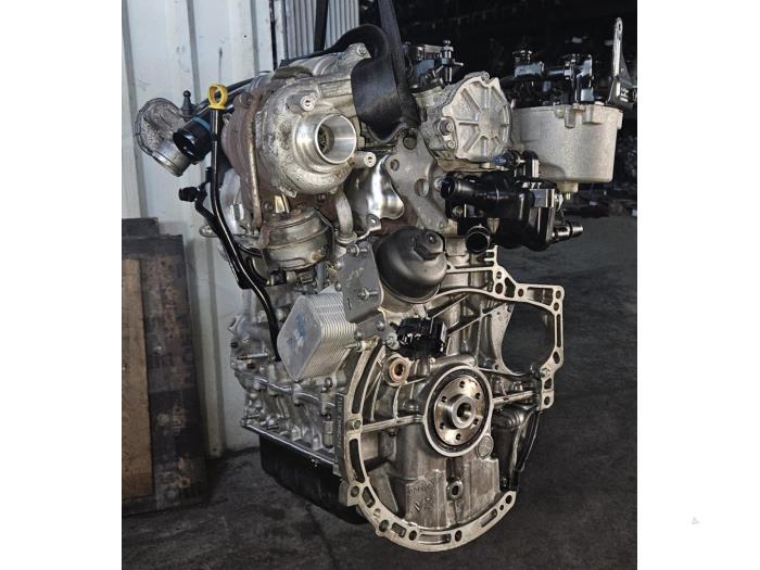 Gereviseerde Motor Ford Focus Prijs € 2.420,00 Inclusief btw aangeboden door AKAS Automaterialen