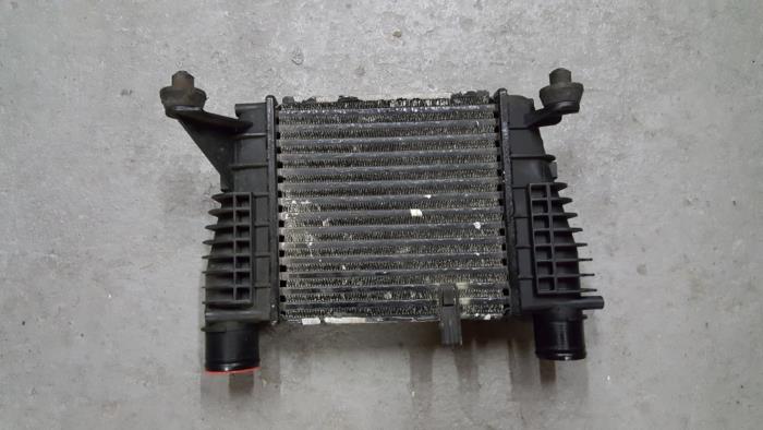 Gebruikte Intercooler Citroen BX Prijs € 36,30 Inclusief btw aangeboden door AKAS Automaterialen (acceptatie)
