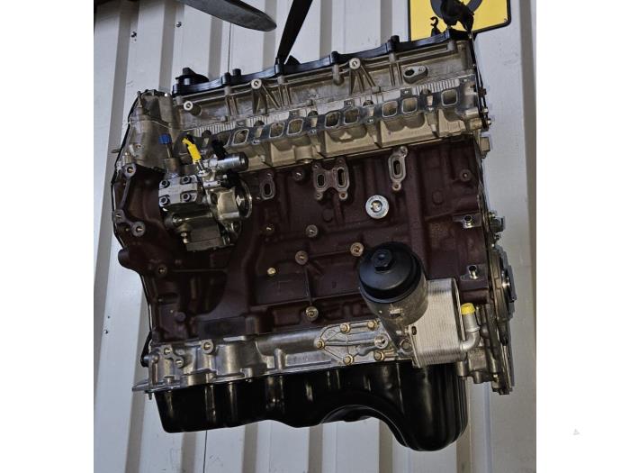 Motor Citroen BX (Revisie)