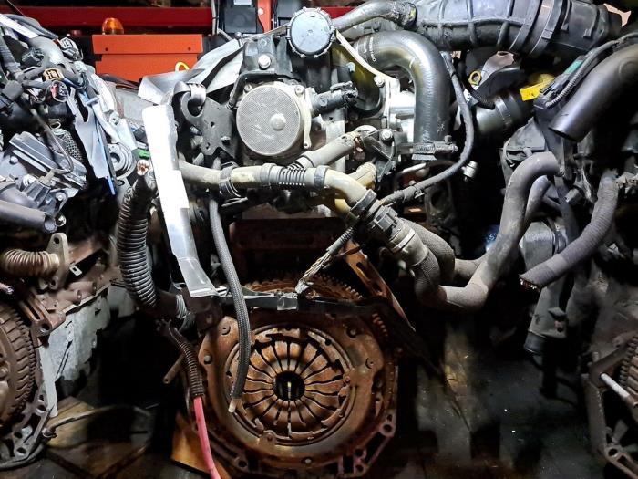 Gebruikte Motor Renault Clio III (BR/CR) 1.5 dCi 70 Prijs € 484,00 Inclusief btw aangeboden door De Jonghe Recuparts