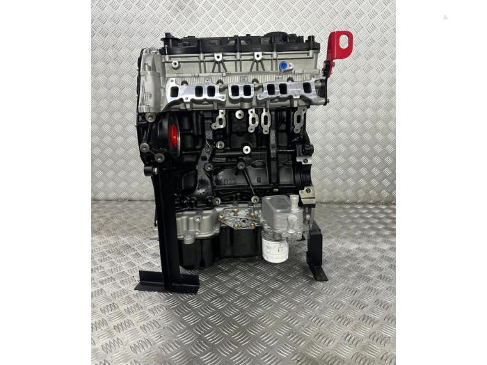 Gereviseerde Motor Ford Transit 2.2 TDCi 16V 4x4 Prijs € 3.146,00 Inclusief btw aangeboden door EU Engines & Parts BV