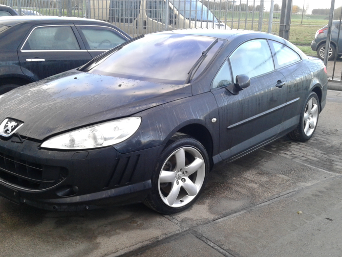 Peugeot 407 3.0 V6 24V VVT Sloopvoertuig (2007, Zwart)