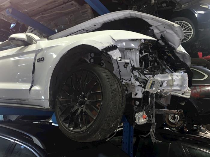 Ford Usa Mustang VI Fastback 5.0 GT Ti-VCT V8 32V Sloopvoertuig (2015, Wit)