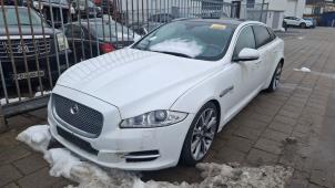 Jaguar XJ 3.0 V6 Supercharged 24V  (Sloop)