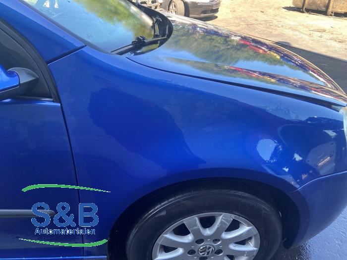 Volkswagen Golf V 1.6 FSI 16V Sloopvoertuig (2004, Blauw)