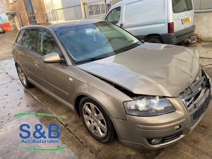 Audi A3 Sportback 1.8 TFSI 16V Sloopvoertuig (2007, Beige)