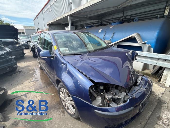 Volkswagen Golf V 1.9 TDI Sloopvoertuig (2005, Blauw)