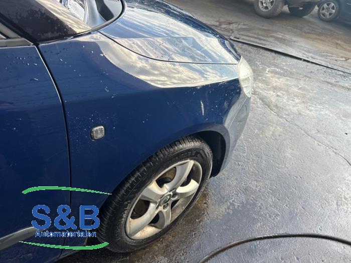 Skoda Fabia II Combi 1.2 TDI 12V Greenline Sloopvoertuig (2011, Blauw)