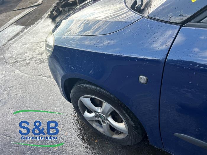 Skoda Fabia II Combi 1.2 TDI 12V Greenline Sloopvoertuig (2011, Blauw)