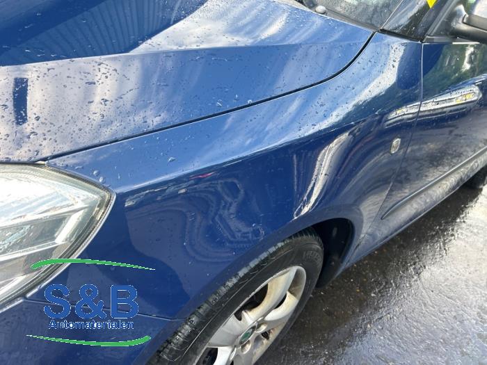 Skoda Fabia II Combi 1.2 TDI 12V Greenline Sloopvoertuig (2011, Blauw)