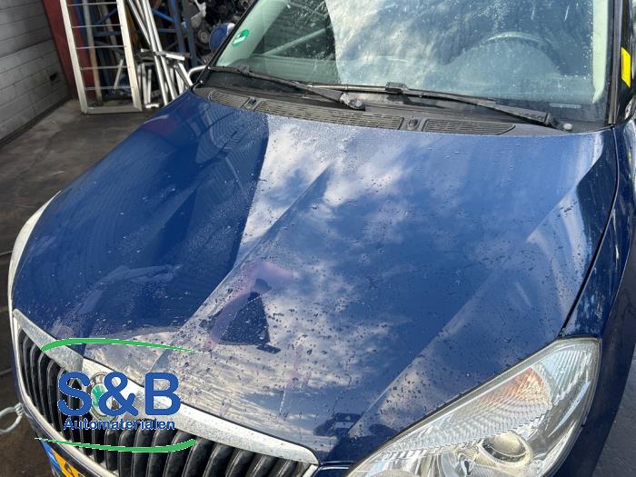Skoda Fabia II Combi 1.2 TDI 12V Greenline Sloopvoertuig (2011, Blauw)